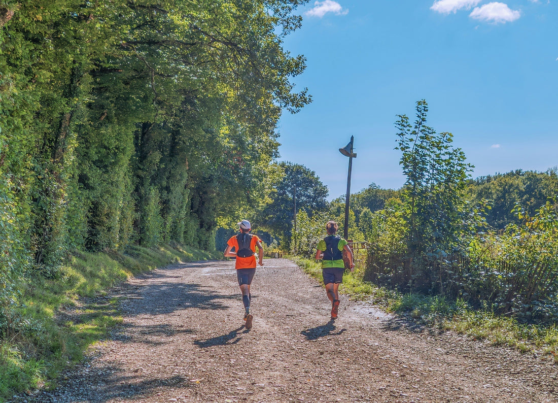 Why You're Losing Motivation: How to Make Training Fun Again